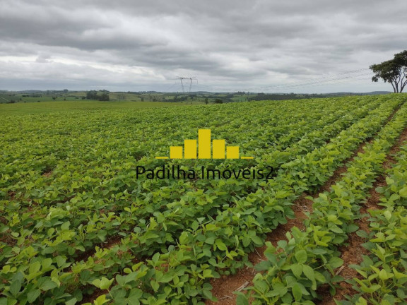 Chácara à Venda, 20 m² em Pilar Do Sul