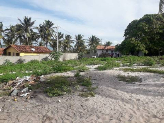 Imagem Terreno à Venda, 1.000 m² em Tibau Do Sul Imagem Terreno à Venda, 1.000 m² em Tibau Do Sul