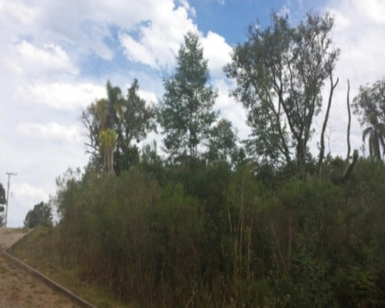 Imagem Terreno à Venda, 2.498 m² em Pousada Da Neve - Nova Petrópolis Imagem Terreno à Venda, 2.498 m² em Pousada Da Neve - Nova Petrópolis