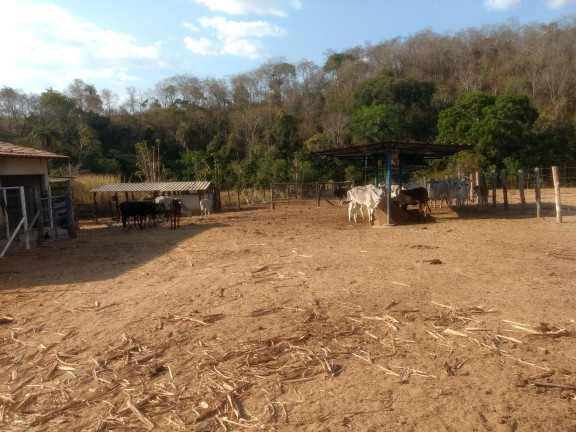 Imagem Imóvel com 3 Quartos à Venda, 1.000 m² em Zona Rural - Baldim