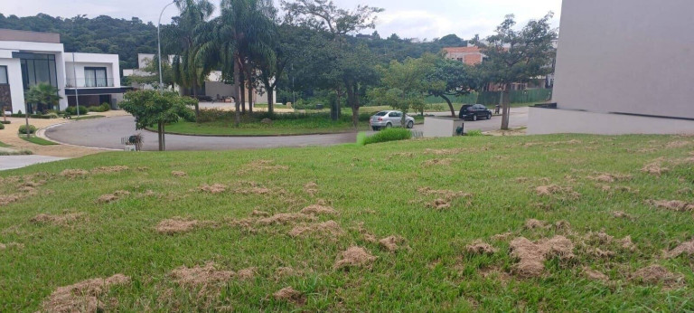 Imagem Terreno em Condomínio à Venda, 803 m² em Alphaville - Santana De Parnaíba Imagem Terreno em Condomínio à Venda, 803 m² em Alphaville - Santana De Parnaíba