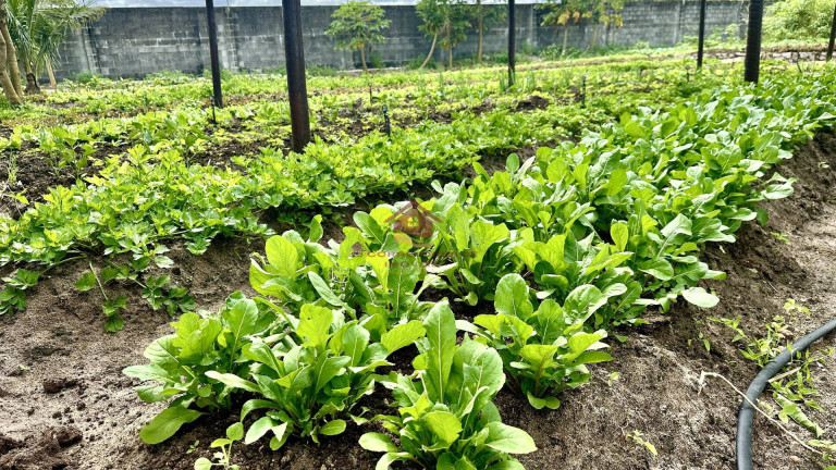 Imagem Terreno em Condomínio à Venda, 480 m² em Zona Rural - Cruz Do Espírito Santo