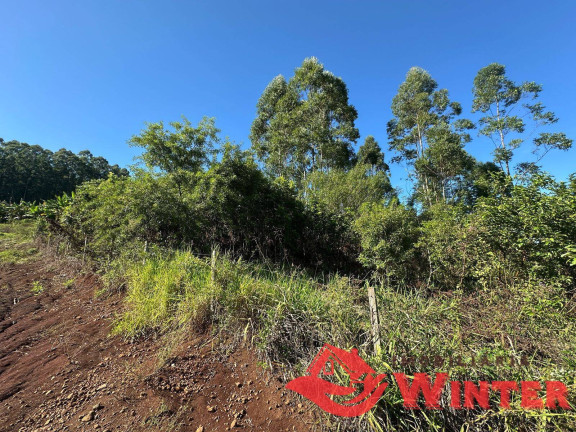 Imagem Chácara à Venda, 2.500 m² em Arroio Das Pedras - Bom Princípio Imagem Chácara à Venda, 2.500 m² em Arroio Das Pedras - Bom Princípio