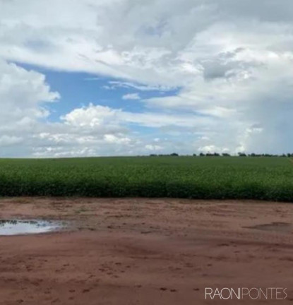 Imagem Fazenda à Venda, 2.032.800 m² em Zona Rural - Guaraci