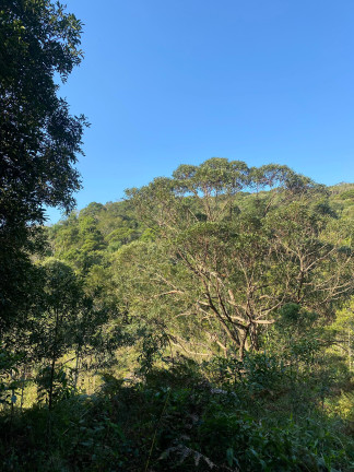 Imagem Terreno à Venda, 172.989 m² em Ressacada - Garopaba Imagem Terreno à Venda, 172.989 m² em Ressacada - Garopaba