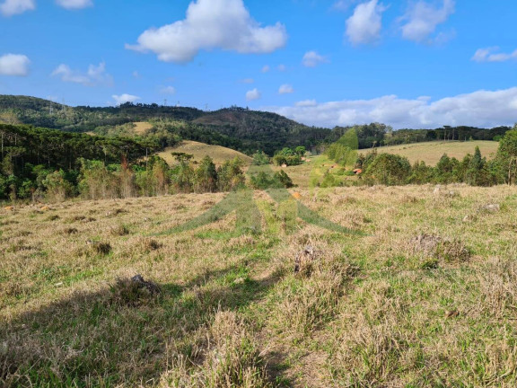 Imagem Chácara com 2 Quartos à Venda, 363.000 m² em Piracaia - Piracaia Imagem Chácara com 2 Quartos à Venda, 363.000 m² em Piracaia - Piracaia