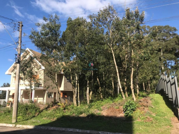 Imagem Terreno à Venda, 825 m² em Vale Das Colinas - Gramado Imagem Terreno à Venda, 825 m² em Vale Das Colinas - Gramado