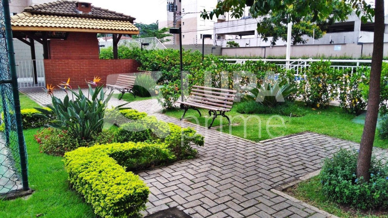 Imagem Apartamento com 3 Quartos à Venda, 67 m² em Vila Constança - São Paulo
