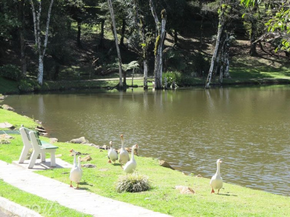 Imagem Terreno à Venda, 1.900 m² em Centro - Gramado Imagem Terreno à Venda, 1.900 m² em Centro - Gramado