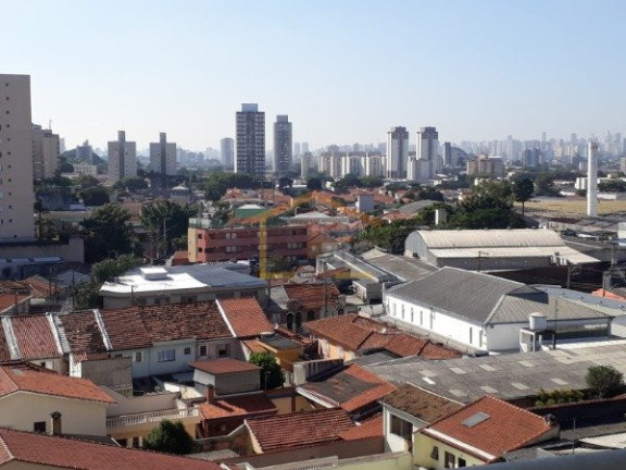Imagem Apartamento com 2 Quartos à Venda, 50 m² em Vila Guilherme - São Paulo Imagem Apartamento com 2 Quartos à Venda, 50 m² em Vila Guilherme - São Paulo