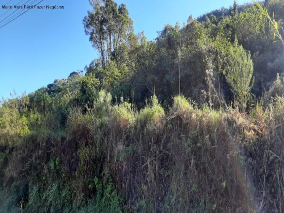 Terreno à Venda, 461 m² em Pinhal Alto - Nova Petrópolis