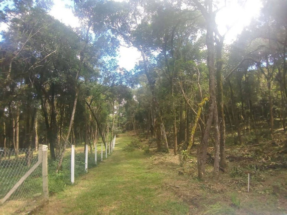 Terreno à Venda,  em Planta Granjas Eldorado - Piraquara