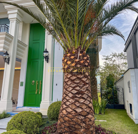 Imagem Casa com 3 Quartos à Venda, 281 m² em Pedra Branca - Palhoça