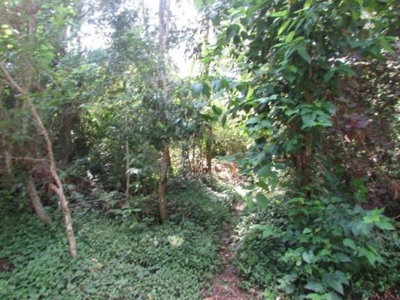 Imagem Terreno em Condomínio à Venda, 500 m² em Paisagem Renoir - Cotia Imagem Terreno em Condomínio à Venda, 500 m² em Paisagem Renoir - Cotia