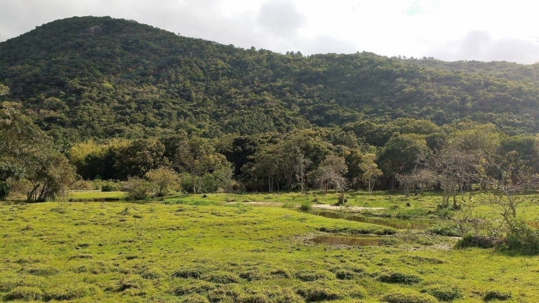 Imagem Chácara à Venda, 4.800 m² em São João Do Rio Vermelho - Florianópolis Imagem Chácara à Venda, 4.800 m² em São João Do Rio Vermelho - Florianópolis