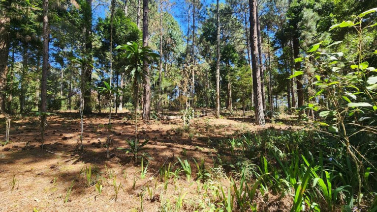 Imagem Casa com 4 Quartos à Venda, 180 m² em Jardim Salaco - Teresópolis