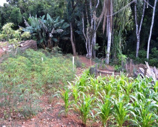 Imagem Imóvel com 2 Quartos à Venda, 90 m² em Piá - Nova Petrópolis