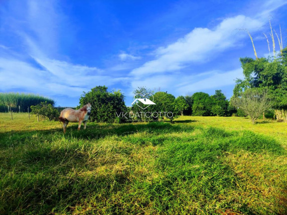 Imagem Chácara à Venda, 5.400 m² em Cremação - ângulo Imagem Chácara à Venda, 5.400 m² em Cremação - ângulo