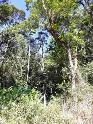 Imagem Terreno à Venda, 232.297 m² em Enseada - São Francisco Do Sul