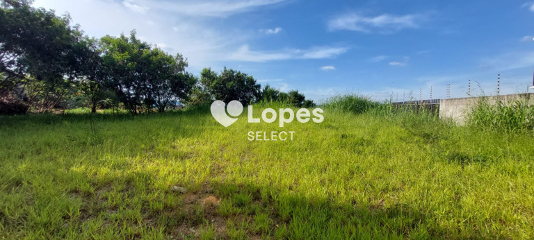 Imagem Terreno à Venda, 1.000 m² em Vila Omízollo - Louveira