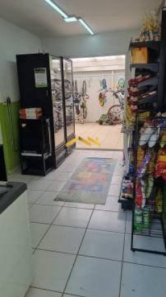 Imagem Apartamento com 3 Quartos à Venda, 66 m² em Jabaquara - São Paulo Imagem Apartamento com 3 Quartos à Venda, 66 m² em Jabaquara - São Paulo