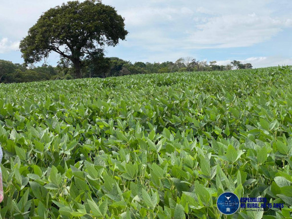 Chácara à Venda, 20 m² em Zona Rural - Rio Verde
