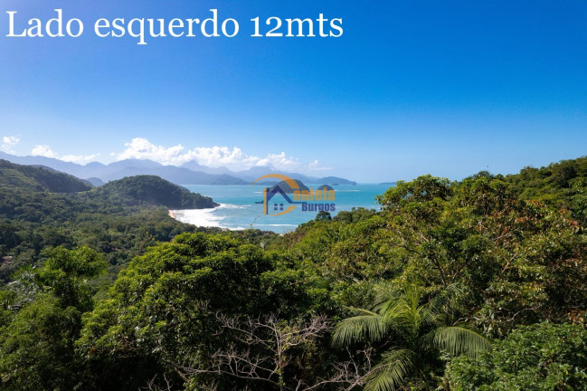 Imagem Terreno à Venda, 70.000 m² em Felix - Ubatuba