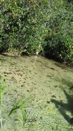 Imagem Fazenda à Venda, 100 m² em Zona Rural - Pontes E Lacerda Imagem Fazenda à Venda, 100 m² em Zona Rural - Pontes E Lacerda