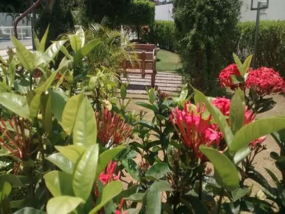 Imagem Apartamento com 3 Quartos à Venda, 70 m² em Cabula - Salvador
