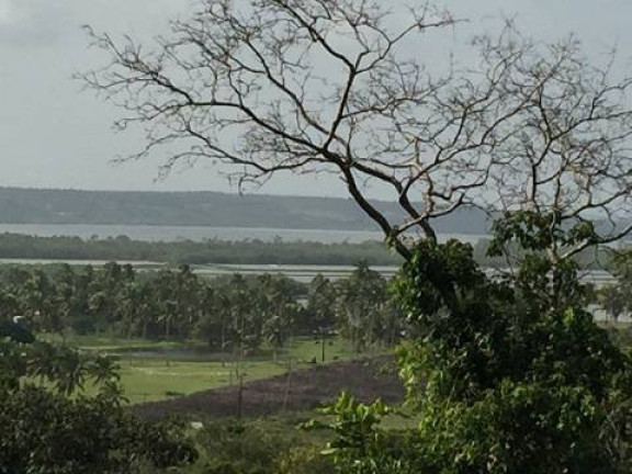 Imagem Terreno à Venda, 35 m² em Piau - Tibau Do Sul
