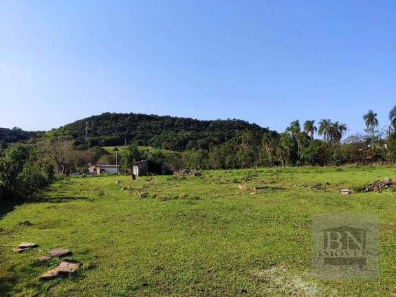 Imagem Imóvel à Venda, 125.895 m² em Aliança - Santa Cruz Do Sul Imagem Imóvel à Venda, 125.895 m² em Aliança - Santa Cruz Do Sul