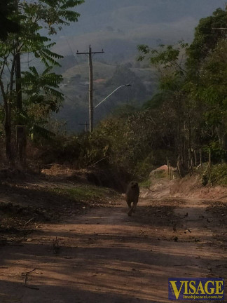 Imagem Chácara à Venda, 1.280 m² em Estancia De Campos Do Jordão - Santa Branca
