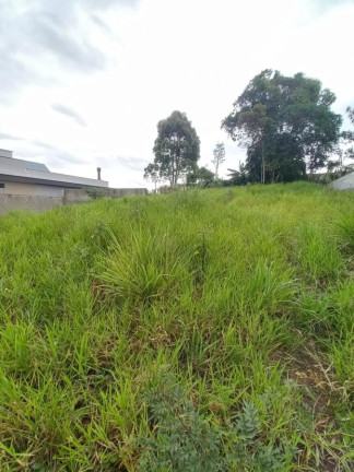 Imagem Terreno à Venda, 360 m² em Pedra Branca - Palhoça