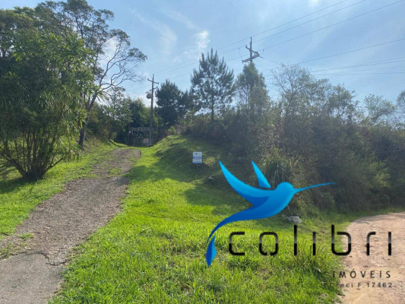 Imagem Terreno à Venda, 730 m² em Quatro Pinheiros - Mandirituba Imagem Terreno à Venda, 730 m² em Quatro Pinheiros - Mandirituba