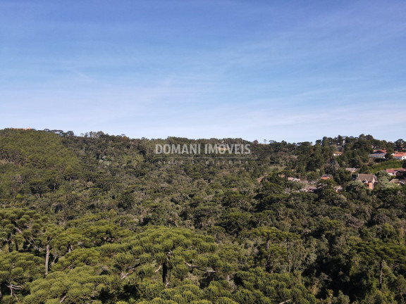 Imagem Terreno à Venda, 4.300 m² em Região Do Alto Da Boa Vista - Campos Do Jordão Imagem Terreno à Venda, 4.300 m² em Região Do Alto Da Boa Vista - Campos Do Jordão