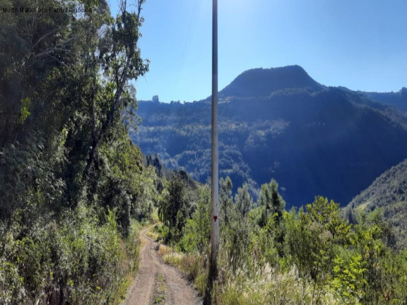 Imagem Terreno à Venda, 3 m² em Pendancino - Nova Petrópolis Imagem Terreno à Venda, 3 m² em Pendancino - Nova Petrópolis