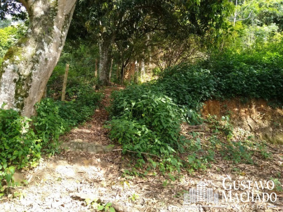 Imagem Terreno à Venda, 19.200 m² em Roma - Volta Redonda Imagem Terreno à Venda, 19.200 m² em Roma - Volta Redonda