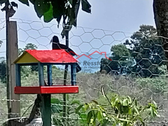 Imagem Chácara com 3 Quartos à Venda, 42 m² em Serrote - Socorro