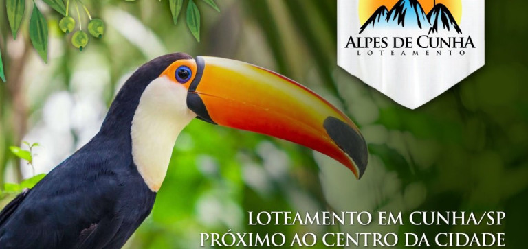 Imagem Terreno à Venda, 1.500 m² em Centro - Cunha Imagem Terreno à Venda, 1.500 m² em Centro - Cunha