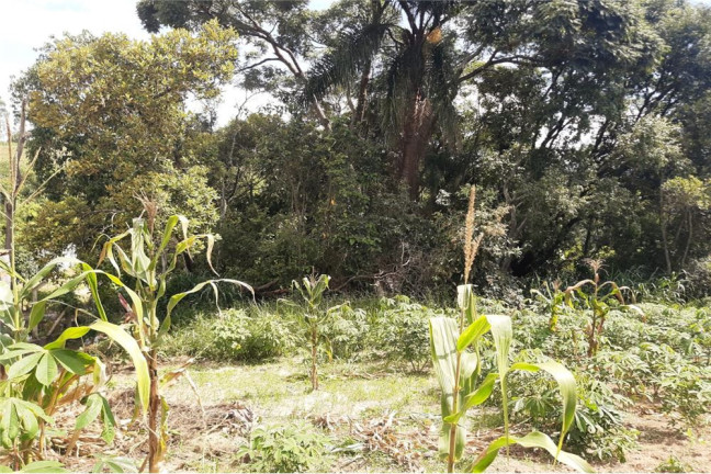 Imagem Terreno à Venda, 1.300 m² em Portal De Pirapora - Salto De Pirapora Imagem Terreno à Venda, 1.300 m² em Portal De Pirapora - Salto De Pirapora