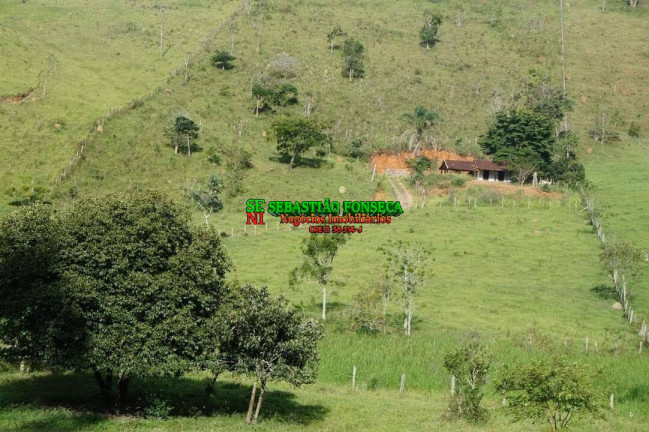 Imagem Chácara à Venda, 30.000 m² em Sob. Consulta - Monteiro Lobato Imagem Chácara à Venda, 30.000 m² em Sob. Consulta - Monteiro Lobato