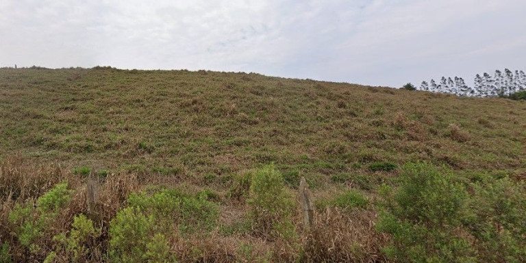 Imagem Terreno à Venda, 10.000 m² em Centro - Santa Branca Imagem Terreno à Venda, 10.000 m² em Centro - Santa Branca