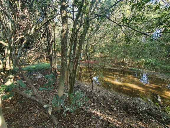 Imagem Imóvel à Venda, 558.000 m² em Pedra Azul - Domingos Martins Imagem Imóvel à Venda, 558.000 m² em Pedra Azul - Domingos Martins