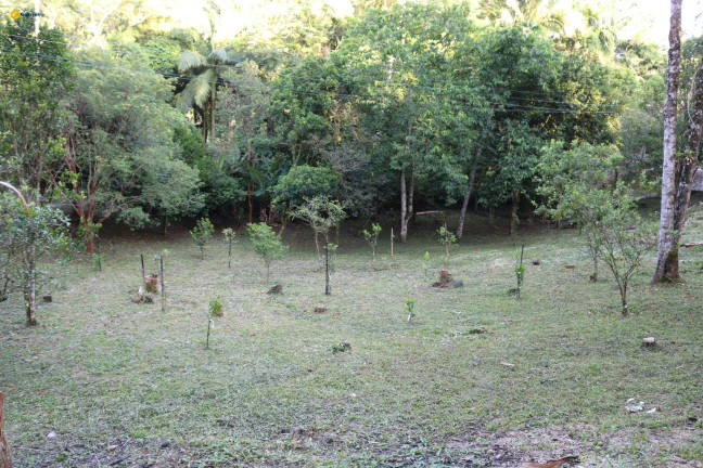 Imagem Fazenda à Venda, 72.924 m² em Sul Do Rio - Santo Amaro Da Imperatriz Imagem Fazenda à Venda, 72.924 m² em Sul Do Rio - Santo Amaro Da Imperatriz