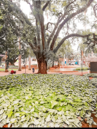 Imagem Apartamento com 3 Quartos à Venda, 124 m² em Centro - Campinas Imagem Apartamento com 3 Quartos à Venda, 124 m² em Centro - Campinas