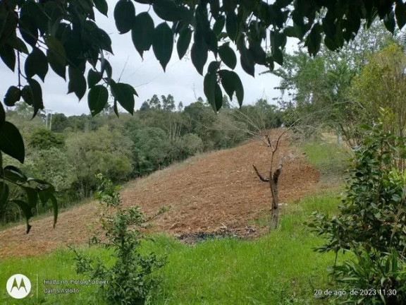 Imagem Imóvel com 4 Quartos à Venda, 22.000 m² em Areia Branca Dos Assis - Mandirituba