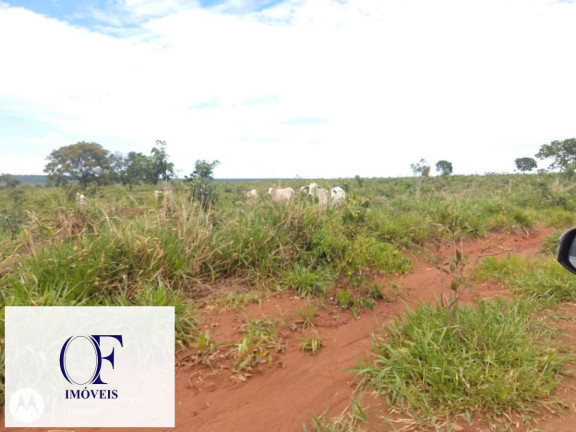 Imagem Fazenda à Venda, 3.097 m² em Rural - Chapadão Do Sul Imagem Fazenda à Venda, 3.097 m² em Rural - Chapadão Do Sul
