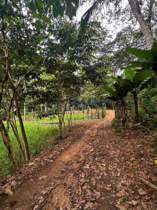 Imagem Chácara à Venda, 92.575 m² em Três Rios Do Norte - Jaraguá Do Sul Imagem Chácara à Venda, 92.575 m² em Três Rios Do Norte - Jaraguá Do Sul