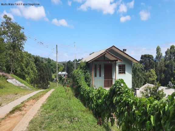 Imagem Casa com 3 Quartos à Venda, 67 m² em Linha Olinda - Nova Petrópolis Imagem Casa com 3 Quartos à Venda, 67 m² em Linha Olinda - Nova Petrópolis