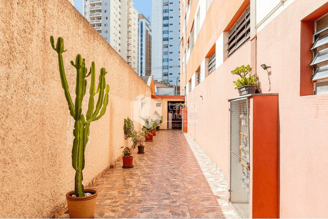 Imagem Apartamento com 3 Quartos à Venda, 110 m² em Vila Olímpia - São Paulo